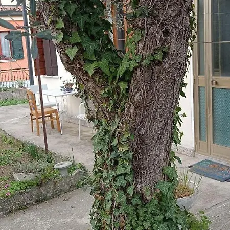 Veniserelax 게스트하우스 *