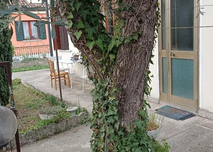 Veniserelax 招待所 *